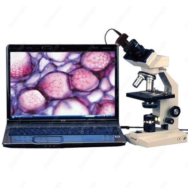 Amscope Microscope Compound 40X-1000X - AmScope B100 Serisi Biyolojik Binoküler Bileşik