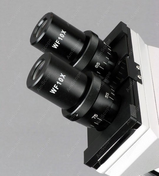 AmScope B100 Serisi Biyolojik  - Amscope Microscope Compound 40X-1000X incelemesi ve fiyatı
