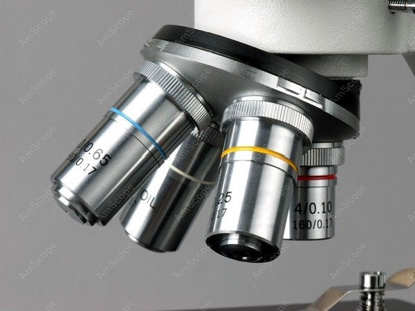 AmScope B100 Serisi Biyolojik  - Amscope Microscope Compound 40X-1000X incelemesi ve fiyatı